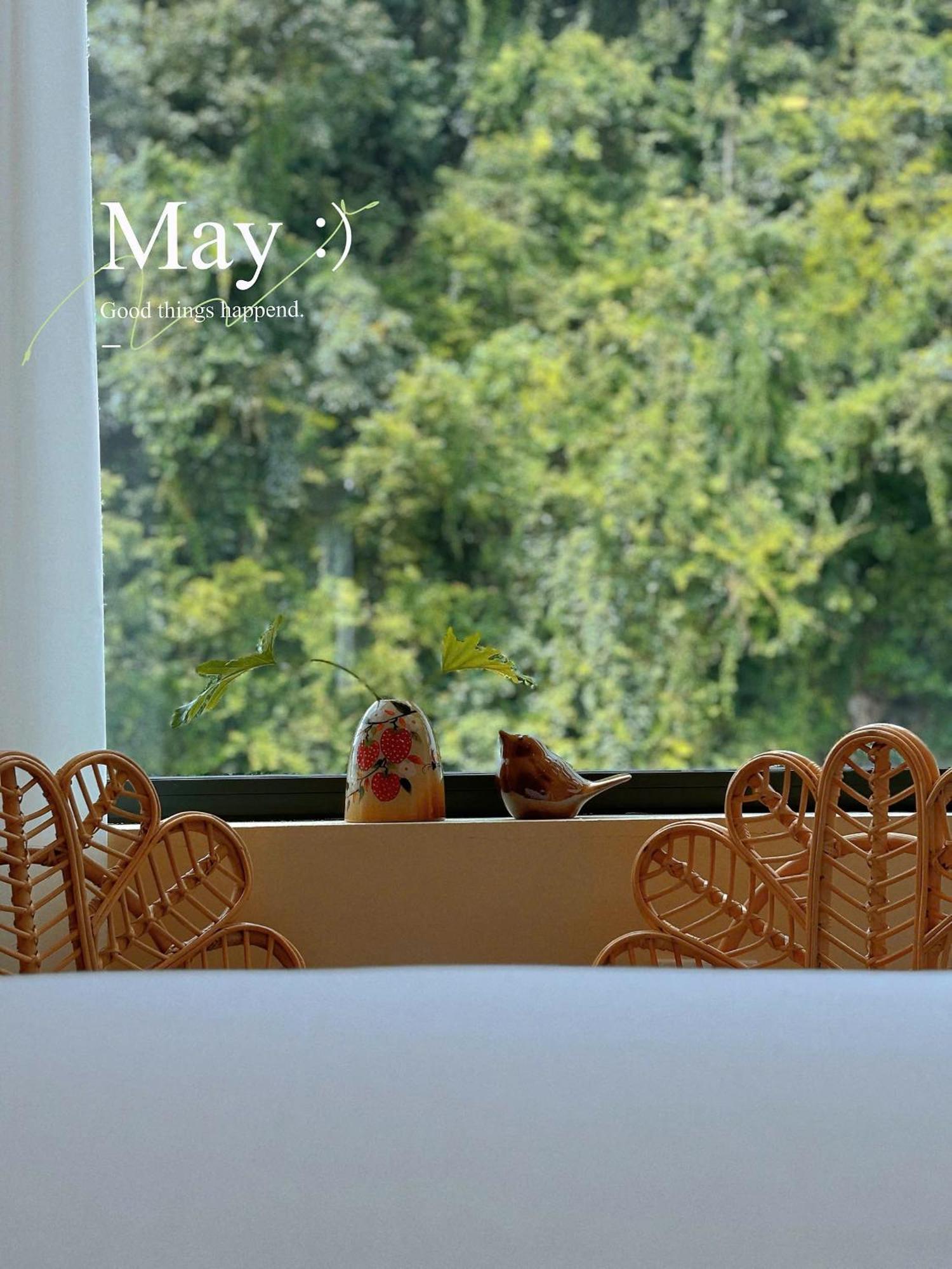 Truong Giang Boutique Hotel Lang Mon Εξωτερικό φωτογραφία
